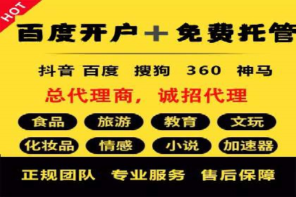 不同平台下的关键词竞价排名策略比较与案例分析